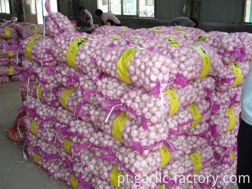 New crop garlic in biig mesh bag